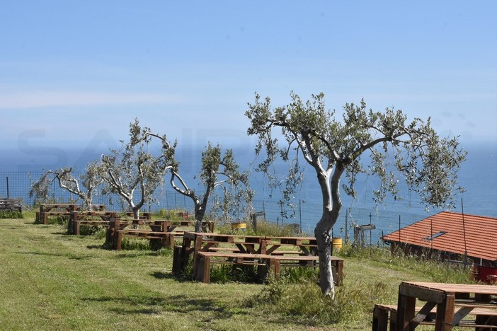 Covid: vacanza in campagna per un italiano su 5, la rivoluzione green spinge la scelta turistica