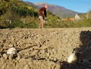 La fine di un’epoca, Antonello Destefani vende l’azienda Gianan dopo l’ultima vendemmia La fine di un’epoca, Antonello Destefani vende l’azienda Gianan dopo l’ultima vendemmia