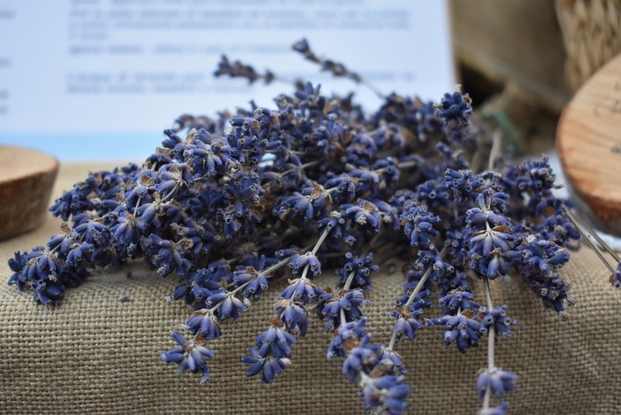 Diano Marina, Aromatica ospita un giardino sensoriale