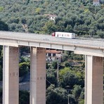 ACCADDE  OGGI,  19 marzo 1987. Il cane Juppi fugge in autostrada a Imperia e dopo 8 giorni “ricompare” sano e salvo a Milano