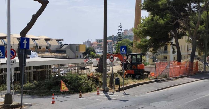 IL PUNTO. Il verde "proclamato" e gli alberi abbattuti a Imperia IL PUNTO. Il verde "proclamato" e gli alberi abbattuti a Imperia