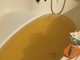 Caramagna, acqua giallastra dai rubinetti: i residenti chiedono interventi urgenti Caramagna, acqua giallastra dai rubinetti: i residenti chiedono interventi urgenti