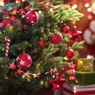 Tutti gli appuntamenti e manifestazioni da mercoledì 24 a domenica 28 dicembre, in Riviera e Côte d'Azur