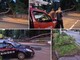 Imperia, albero si abbatte sulla carreggiata in via Littardi Imperia, albero si abbatte sulla carreggiata in via Littardi