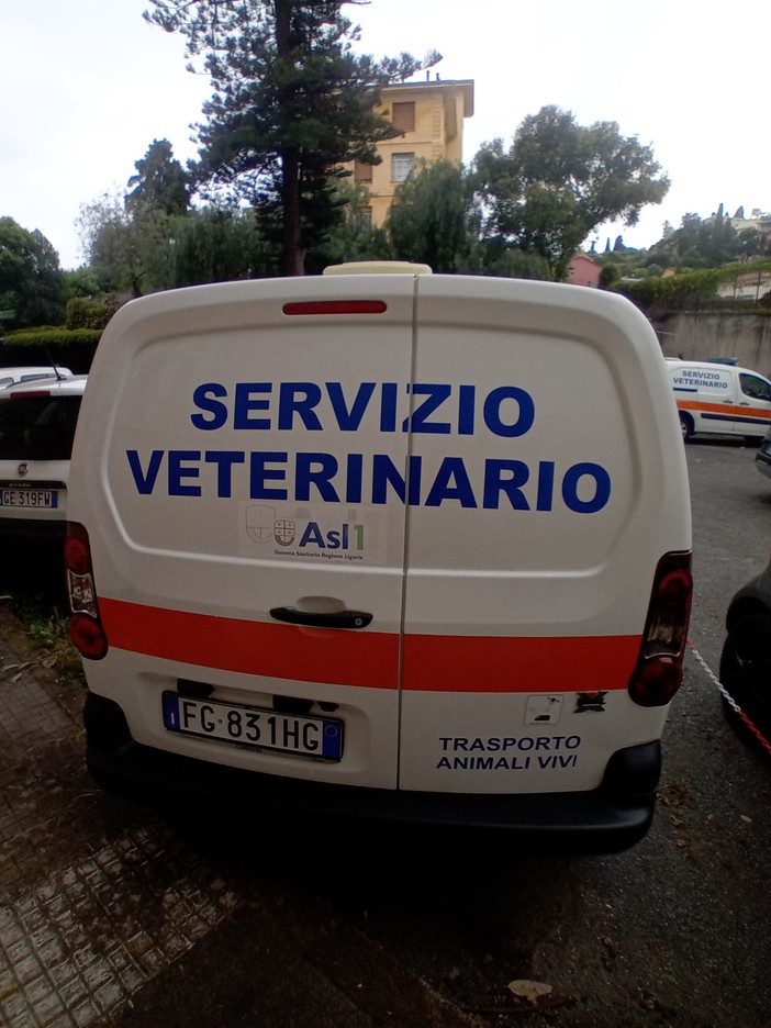 ASL1 attiva un nuovo numero per le emergenze veterinarie: operativo dal 1° agosto ASL1 attiva un nuovo numero per le emergenze veterinarie: operativo dal 1° agosto