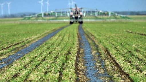 Confagricoltura Liguria: "Più valore al territorio equivale a meno spreco di suolo, e più agricoltura equivale a meno cemento" Confagricoltura Liguria: "Più valore al territorio equivale a meno spreco di suolo, e più agricoltura equivale a meno cemento"