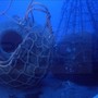 L’AMARCORD DEL SABATO. La Finanza scopre relitto di nave romana al largo della costa Dianese