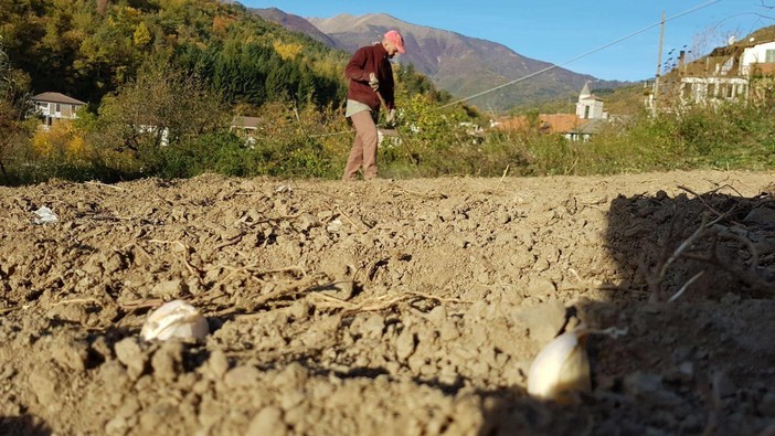 La fine di un’epoca, Antonello Destefani vende l’azienda Gianan dopo l’ultima vendemmia La fine di un’epoca, Antonello Destefani vende l’azienda Gianan dopo l’ultima vendemmia