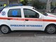Soccorso animali in provincia di Imperia, scatta una raccolta fondi online per sostenere Ambulanze Veterinarie Odv
