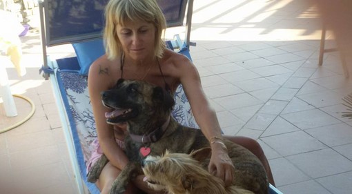 L'estate bollente di cani e gatti: massima attenzione ai colpi di calore