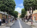 A Diano Marina i tronchi degli alberi vengono avvolti con coperte di lana