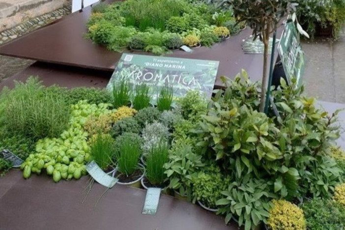 Aromatica e Diano Marina a Torino con Euroflora per ANCIOff Aromatica e Diano Marina a Torino con Euroflora per ANCIOff