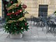 Imperia: in via Cascione, il comitato ha allestito due alberi di Natale (foto)