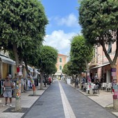 A Diano Marina i tronchi degli alberi vengono avvolti con coperte di lana