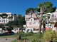 Imperia, abbattuto un albero sul lungomare Vespucci