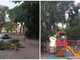 Diano Marina, dramma sfiorato: grosso ramo di Eucaliptus cade al parco giochi di via Campodonico