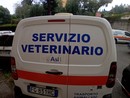 ASL1 attiva un nuovo numero per le emergenze veterinarie: operativo dal 1° agosto