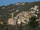 ACCADDE OGGI, 1 SETTEMBRE 1977. Caccia senza quartiere ad Artallo all'inafferrabile scimmietta "diabolica" che sta facendo razzia di olive, uva e ortaggi