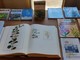 Diano Marina, la biblioteca civica "Angiolo Silvio Novaro" partecipa ad "Aromatica" Diano Marina, la biblioteca civica "Angiolo Silvio Novaro" partecipa ad "Aromatica"