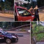 Imperia, albero si abbatte sulla carreggiata in via Littardi