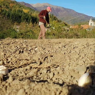 La fine di un’epoca, Antonello Destefani vende l’azienda Gianan dopo l’ultima vendemmia