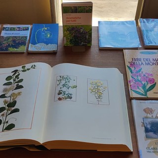 Diano Marina, la biblioteca civica "Angiolo Silvio Novaro" partecipa ad  "Aromatica"