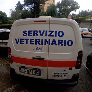 ASL1 attiva un nuovo numero per le emergenze veterinarie: operativo dal 1° agosto ASL1 attiva un nuovo numero per le emergenze veterinarie: operativo dal 1° agosto