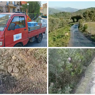 Imperia, cronica perdita d’acqua a Panegai. Residenti e agricoltori: “Porre fine a questo spreco” (foto e video)