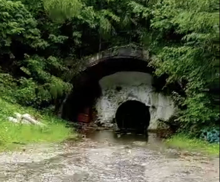 Acqua dal foro pilota della Armo - Cantarana, il geologo Belmonte: "Fenomeno anomalo" (video)