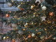 Gli italiani si preparano a fare l'albero di Natale, Coldiretti: &quot;La maggioranza delle famiglie sceglie quello sintetico, dannoso per l'ambiente&quot;