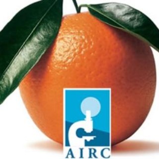 Sabato 26 gennaio tornano le Arance della Salute di AIRC Stop al fumo, corretta alimentazione ed esercizio fisico possono prevenire la formazione di un tumore su tre