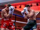 Boxe, l'imperiese Andrea Cikalleshi trionfa a Bradford contro l’inglese Jake Osgood
