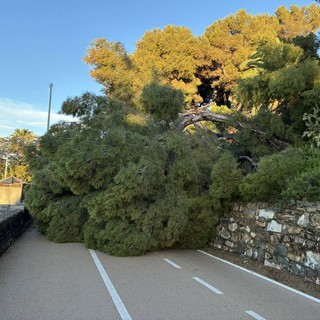 Foto Maria Manfredi Gruppo Facebook VivImperia