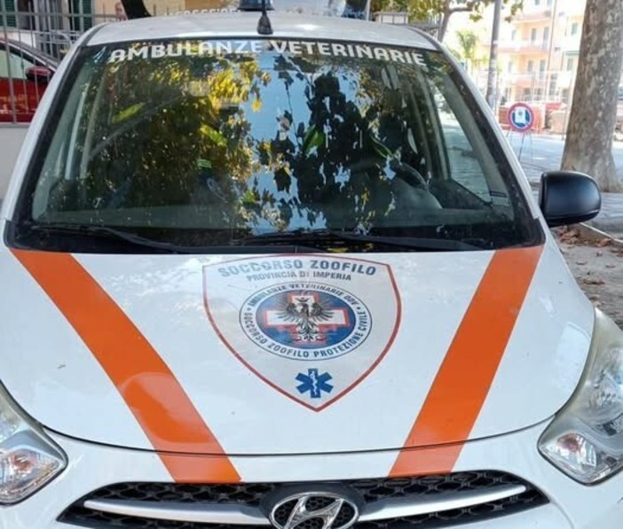 Soccorso veterinario in difficoltà: serve un nuovo mezzo nel Golfo Dianese