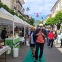 (Foto Flammia)