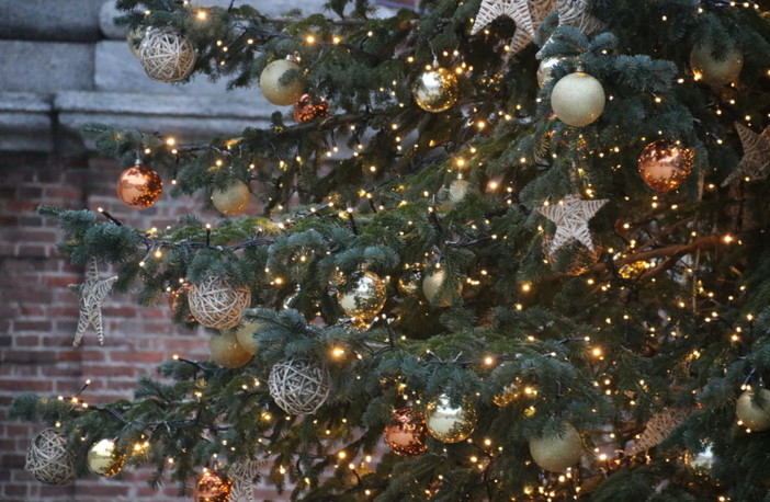 Gli italiani si preparano a fare l'albero di Natale, Coldiretti: "La maggioranza delle famiglie sceglie quello sintetico, dannoso per l'ambiente"