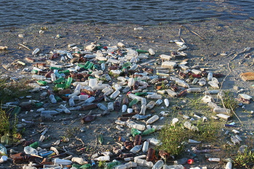 Ecologia: falde acquifere e bacini idrici stanno diventando “elisir mortiferi” Ecologia: falde acquifere e bacini idrici stanno diventando “elisir mortiferi”