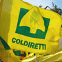 Lettera all’assessore Piana, Coldiretti: “Voce al territorio in seguito agli incontri con la base associativa sulla Regione Liguria”