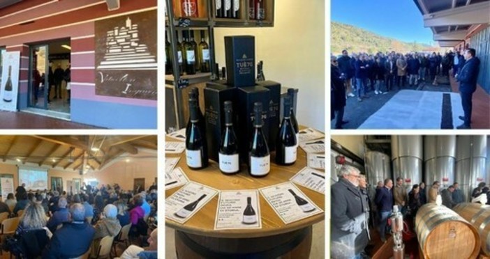 Brindisi al futuro: a Ortovero svelato il nuovo Metodo Classico Tué76 per i 50 anni dei Viticoltori Ingauni (FOTO e VIDEO)