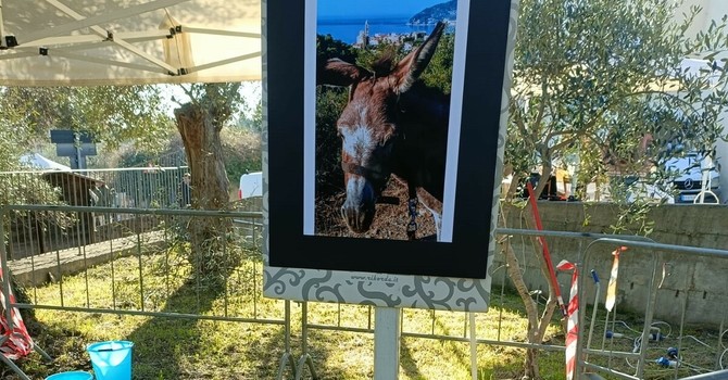 Alla Rovere la Bibl-io-Margherita narra della cultura del libro e della lettura: uno spazio magico aperto a tutti