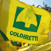 Florovivaismo, incontro territoriale ad Albenga di Coldiretti e Assofloro con le imprese florovivaistiche della regione