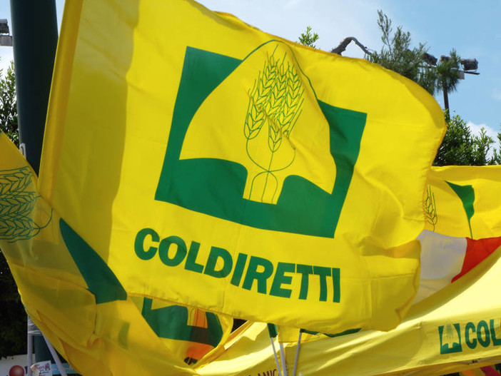 Cibo biologico UE ed extra-Ue, Coldiretti: “Vanno separati, Serve il marchio del bio italiano per tutelare agricoltori e consumatori”