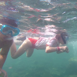 Imperia, snorkeling gratuito con i Delfini Del Ponente