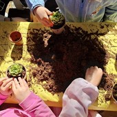 Progetto FEEL, ARTE Imperia porta la sostenibilità nelle scuole del territorio Progetto FEEL, ARTE Imperia porta la sostenibilità nelle scuole del territorio