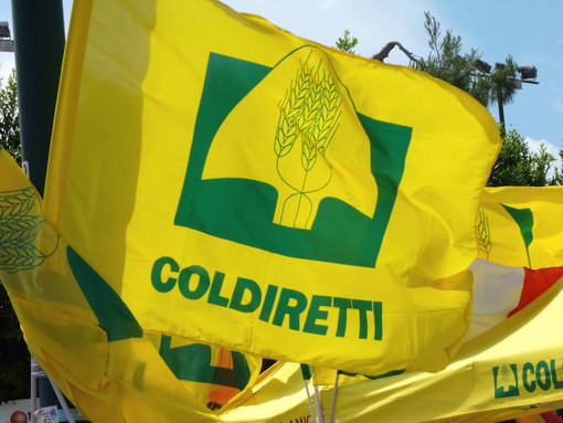 Floricoltura, Coldiretti: “In arrivo 25 milioni di euro contro i rincari”