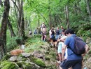 Bauba-Can, raduno cinofilo tra natura e divertimento a Montegrosso Pian Latte Bauba-Can, raduno cinofilo tra natura e divertimento a Montegrosso Pian Latte