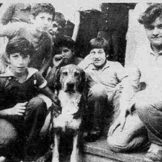 ACCADDE OGGI, 23 FEBBRAIO 1981. Pontedassio e la Valle Impero piangono commossi la scomparsa di Black, il cane trovatello che accompagnava i bambini in classe