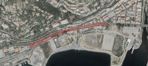 Bosco urbano sul lungomare Vespucci, il Comune va avanti Bosco urbano sul lungomare Vespucci, il Comune va avanti