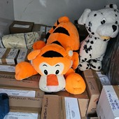 BUONE NOTIZIE/“Tutti insieme per la solidarietà” festeggia cinque anni di impegno e dona al Gaslini