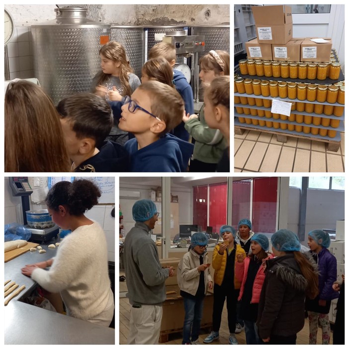 Borgomaro, un percorso didattico dedicato ai prodotti e all'economia del territorio Borgomaro, un percorso didattico dedicato ai prodotti e all'economia del territorio